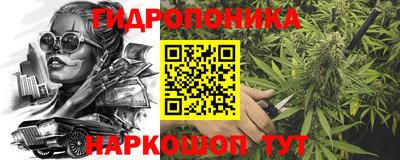 ПСИЛОЦИБИНОВЫЕ ГРИБЫ Заводоуковск