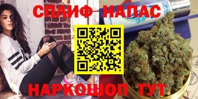 ПСИЛОЦИБИНОВЫЕ ГРИБЫ Заводоуковск