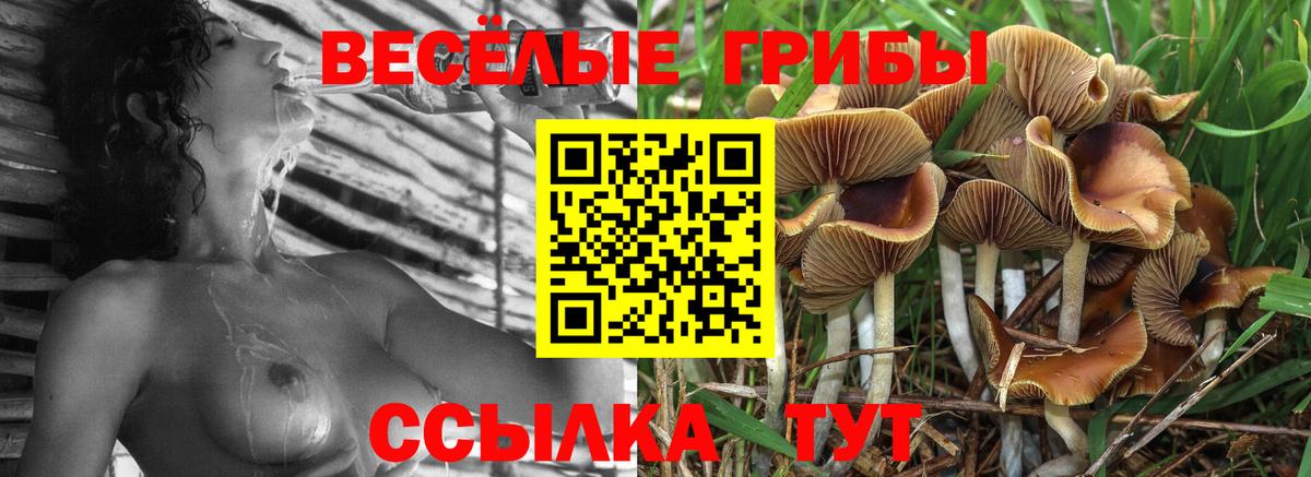 Галлюциногенные грибы Magic Shrooms  Вход с VPN  продажа наркотиков  Михайловск 