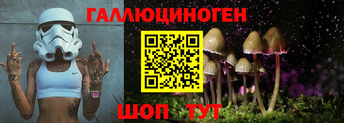 Галлюциногенные грибы Cubensis Михайловск